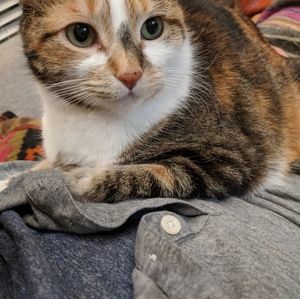 Meet your Posher, Tim